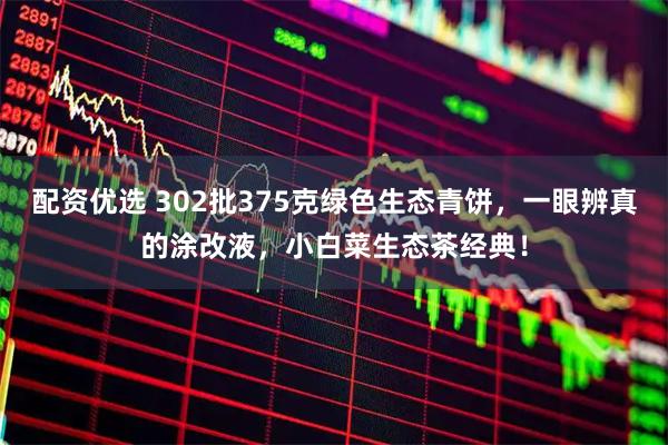 配资优选 302批375克绿色生态青饼，一眼辨真的涂改液，小白菜生态茶经典！